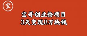 宝哥IP图文创业粉引流项目实战分享:单个账号3天涨粉1万,变现8万块钱(图文教程)【揭秘】-虚拟资源库