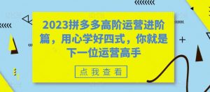 2023拼多多高阶运营进阶篇，用心学好四式，你就是下一位运营高手-虚拟资源库