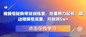 视频号矩阵带货训练营,批量暴力起号,撬动视频号流量,月利润5w+-虚拟资源库