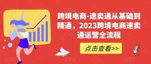 跨境电商-速卖通从基础到精通,2023跨境电商速卖通运营全流程-虚拟资源库