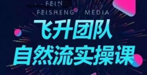 飞升团队课程自然流实操课，抖音半无人起号主播间搭建教学-虚拟资源库