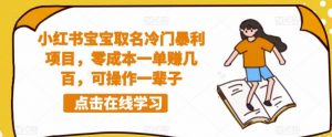 小红书宝宝取名冷门暴利项目，零成本一单赚几百，可操作一辈子-虚拟资源库