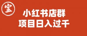 宝哥小红书店群项目，日入过千（图文教程）【揭秘】-虚拟资源库