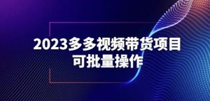 2023多多视频带货项目，可批量操作【保姆级教学】【揭秘】-虚拟资源库