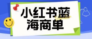 价值2980的小红书商单项目暴力起号玩法，一单收益200-300（可批量放大）-虚拟资源库