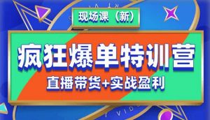 抖音短视频疯狂爆单特训营现场课（新）直播带货+实战案例-虚拟资源库