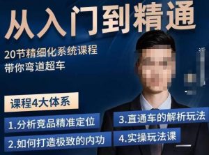 龙一·从入门到精通拼多多运营系列课,0-100的运营实操技巧,精细化系列课程带你弯道超车-虚拟资源库