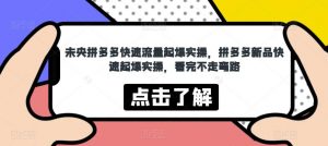 未央拼多多快速流量起爆实操，拼多多新品快速起爆实操，看完不走弯路-虚拟资源库
