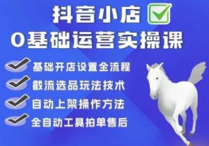 白马电商·0基础抖店运营实操课，基础开店设置全流程，截流选品玩法技术-虚拟资源库