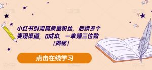 小红书引流高质量粉丝,后续多个变现渠道,0成本,一单赚三位数【揭秘】-虚拟资源库