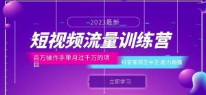 短视频流量训练营:百万操作手单月过千万的项目:抖音变现王中王能力超强-虚拟资源库