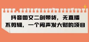 抖音图文二创带货，无直播，不剪辑，一个闷声发大财的项目【揭秘】-虚拟资源库