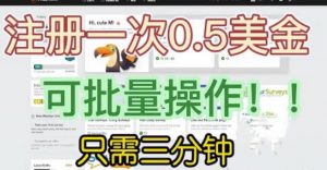 国外项目注册一次0.5美金，只需三分钟无脑操作，可批量同时放大操作，小白工作室福利【揭秘】-虚拟资源库