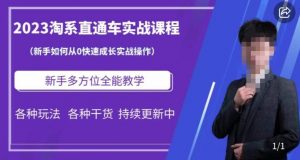 2023淘系直通车保姆式运营讲解，新手如何从0快速成长实战操作，新手多方位全能教学-虚拟资源库