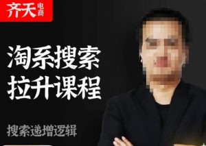 齐天电商·淘系搜索提升课程,搜索递增标准化,动销标准化流程-虚拟资源库
