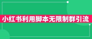 小红书利用脚本无限群引流日引创业粉300+【揭秘】-虚拟资源库