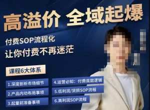逸风-拼多多高溢价全域起爆,6大课程体系,付费玩法全套实操-虚拟资源库