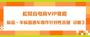 松鼠会电商VIP教程：松鼠《付费推广标品·半标直通车操作针对性答疑&诊断》-虚拟资源库