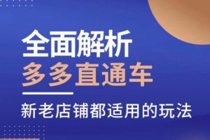 全面解析多多直通车,新老店铺都适用的玩法-虚拟资源库