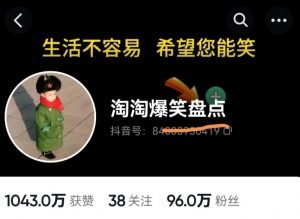 价值1000的搞笑盘点大V淘淘爆笑盘点详细课程+软件，中视频变现-虚拟资源库