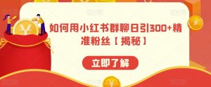 如何用小红书群聊日引300+精准粉丝【揭秘】-虚拟资源库
