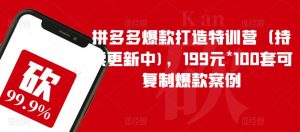 拼多多爆款打造特训营(持续更新中),199元*100套可复制爆款案例-虚拟资源库