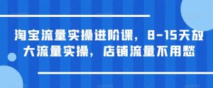 淘宝流量实操进阶课,8-15天放大流量实操,店铺流量不用愁-虚拟资源库