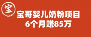 宝哥婴儿奶粉项目,6个月赚85w【图文非视频】【揭秘】-虚拟资源库