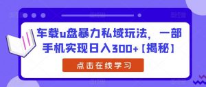 车载u盘暴力私域玩法,一部手机实现日入300+【揭秘】-虚拟资源库