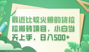 最近比较火爆的货拉拉搬砖项目，小白当天上手，日入500+【揭秘】-虚拟资源库