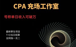 张子凡·20年实战经验,揭秘营销背后的底层逻辑,突破思维局限,从根本上破解营销难题-虚拟资源库