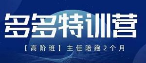 纪主任·5月最新多多特训营高阶班,玩法落地实操,多多全掌握-虚拟资源库