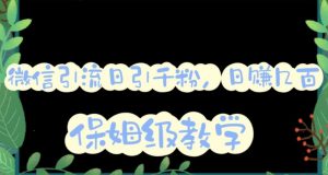 微信互推圈半自动引流方案，矩阵操作日引千人思路【详细视频教程】-虚拟资源库