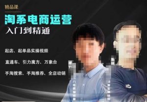 2023手淘搜索实操课+体系化课程,起店起单品实操视频课程-虚拟资源库