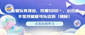 益智玩具项目，月赚5000＋，小白新手坚持做就可以达到【揭秘】-虚拟资源库