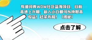 有道词典WOW社区蓝海项目，目前高速上升期，新人小白都可以换取高收益！赶紧布局！【揭秘】-虚拟资源库