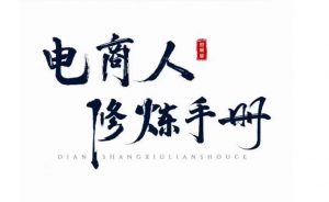 照顾酱·电商人修炼手册,从0到1,手把手教你理解淘宝运营底层逻辑-虚拟资源库