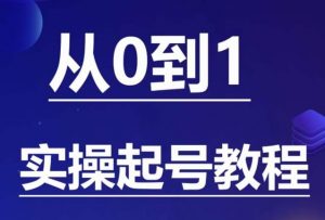 石野·小白起号实操教程,掌握各种起号的玩法技术,了解流量的核心-虚拟资源库