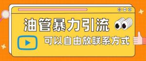 油管暴力引流,可以自由放联系方式【揭秘】-虚拟资源库