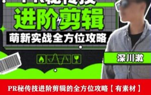 PR进阶剪辑培训班,让你快速成为剪辑大师12节视频课程+素材!-虚拟资源库