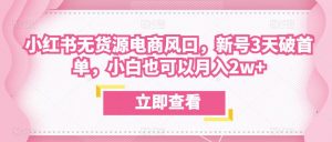 众狼电商余文小红书无货源电商风口,新号3天破首单,小白也可以月入2w+-虚拟资源库