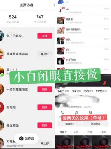 一天做完别一辈子的视频制作最近很火的《1000个野路子信息差》100%过原创【揭秘】-虚拟资源库