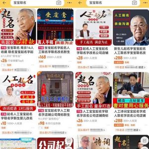 拆解小红书宝宝起名虚拟副业项目,一条龙实操玩法分享给你(教程+软件)-虚拟资源库