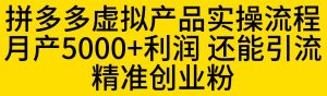 拼多多虚拟产品实操流程，月产5000+利润，还能引流精准创业粉【揭秘】-虚拟资源库