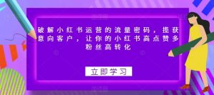 破解小红书运营的流量密码,揽获意向客户,让你的小红书高点赞多粉丝高转化-虚拟资源库