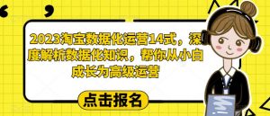 2023淘宝数据化运营14式,深度解析数据化知识,帮你从小白成长为高级运营-虚拟资源库
