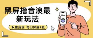 黑屏撸音浪最新玩法，双重变现，每日保底2张【揭秘】-虚拟资源库