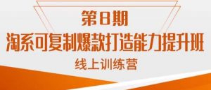 淘系可复制爆款打造能力提升班,这是一套可复制的打爆款标准化流程-虚拟资源库