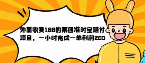 外面收费188的美团准时宝赔付项目，一小时完成一单利润200【仅揭秘】-虚拟资源库