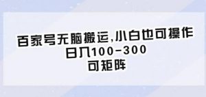百家号无脑搬运，小白也可操作，日入100-300，可矩阵【仅揭秘】-虚拟资源库